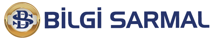 Bilgi Sarmal logosu